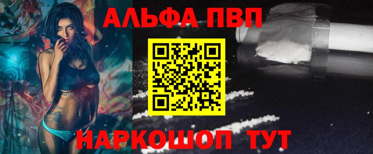 Альфа ПВП СК Урус-Мартан
